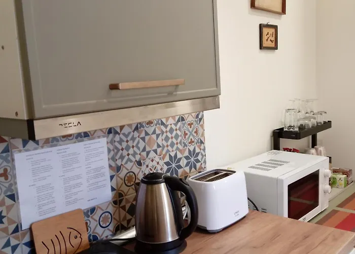 Apartament Old Tisa Senta